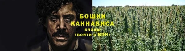ГАЛЛЮЦИНОГЕННЫЕ ГРИБЫ Горно-Алтайск