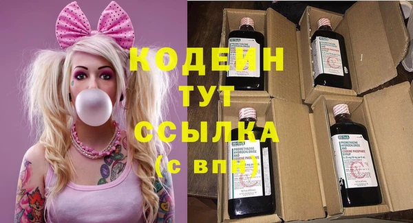ГАЛЛЮЦИНОГЕННЫЕ ГРИБЫ Горно-Алтайск