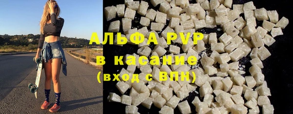 ГАЛЛЮЦИНОГЕННЫЕ ГРИБЫ Горно-Алтайск