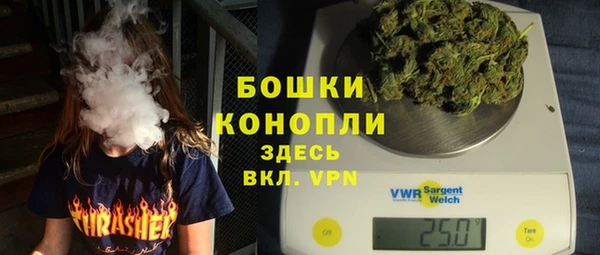 ГАЛЛЮЦИНОГЕННЫЕ ГРИБЫ Горно-Алтайск