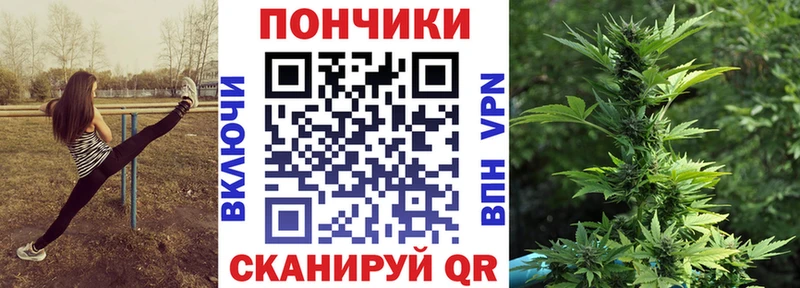 Бошки Шишки THC 21%  даркнет телеграм  Звенигово 